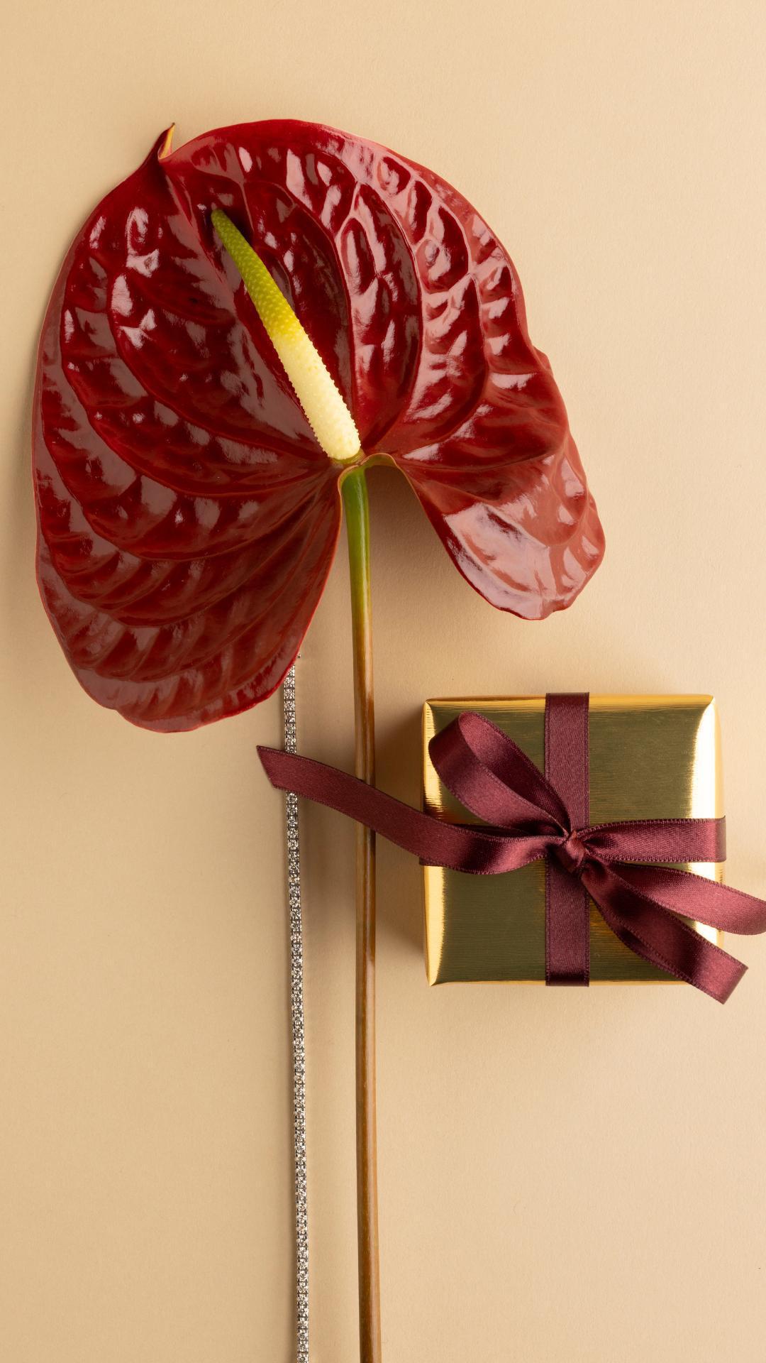 Holmasto on perinteinen perheyritys, joka ostaa ja myy vintage-koruja ja -kelloja sekä järjestää kansainvälisiä huutokauppoja