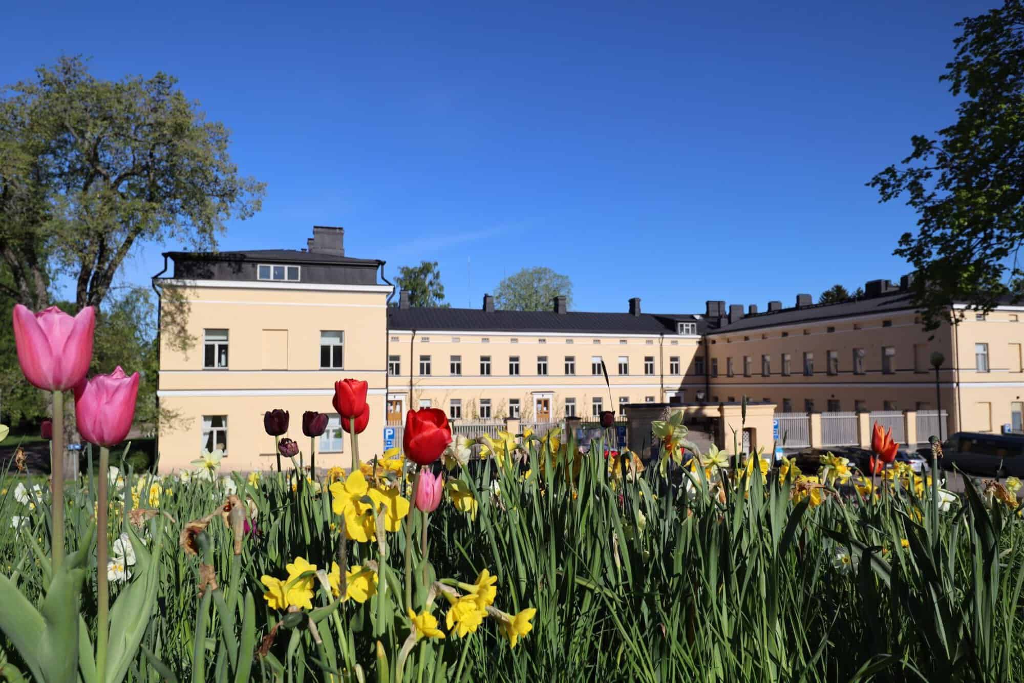 Lapinlahden L hde Taiteiden Kulttuurin Ja Mielen Hyvinvoinnin Keskus lapinlahden-l-hde-taiteiden-kulttuurin-ja-mielen-hyvinvoinnin-keskus