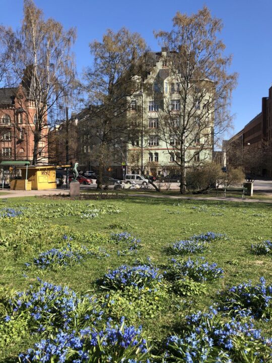 a grass field with flowers in front of a building
