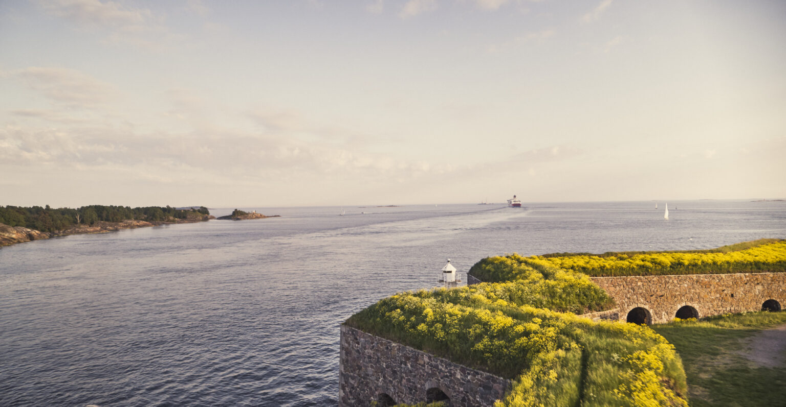 Suomenlinna sea fortress walls covered in yellow flowers overlooking the Baltic Sea