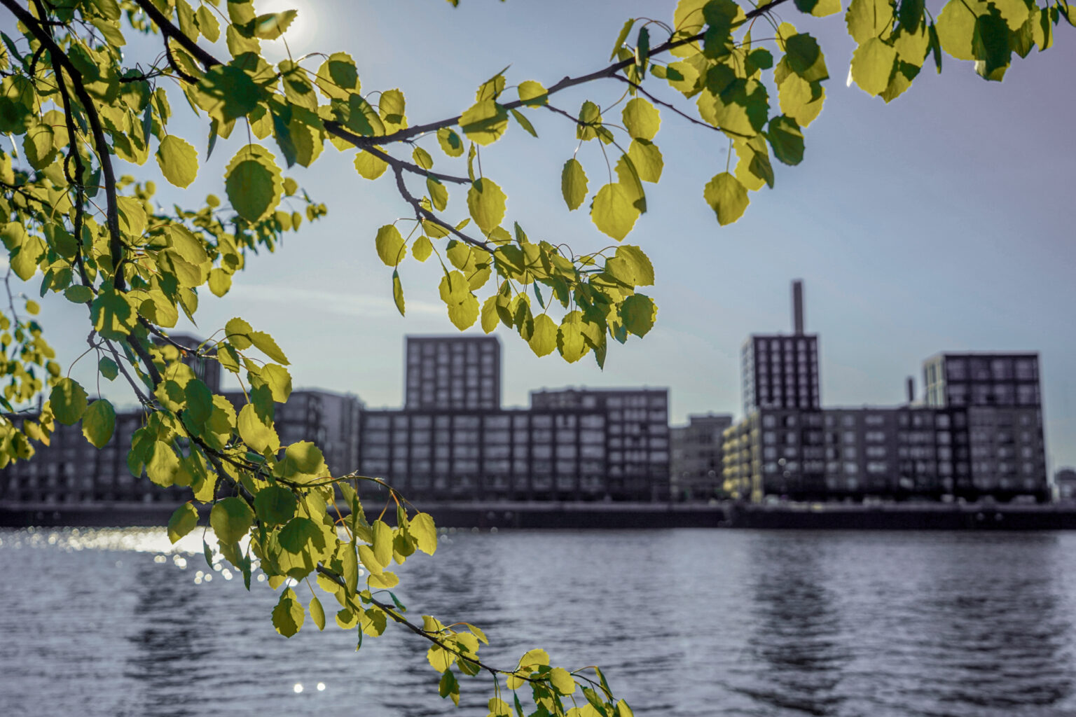 View from Mustikkamaa island to Kalasatama district (1)