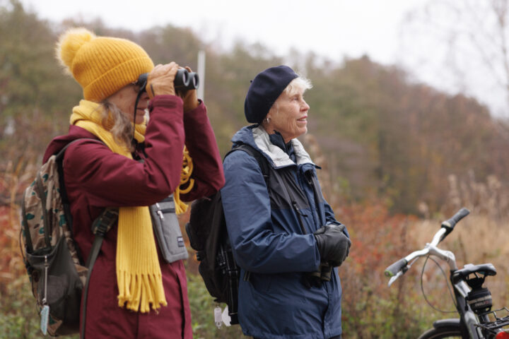 Two women birdwatching in autumn with binoculars and a bicycle.