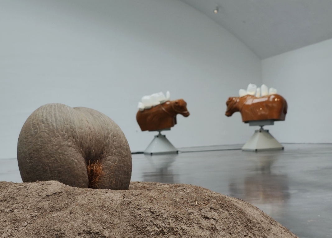 Danish Nina Beier exhibition at Kiasma