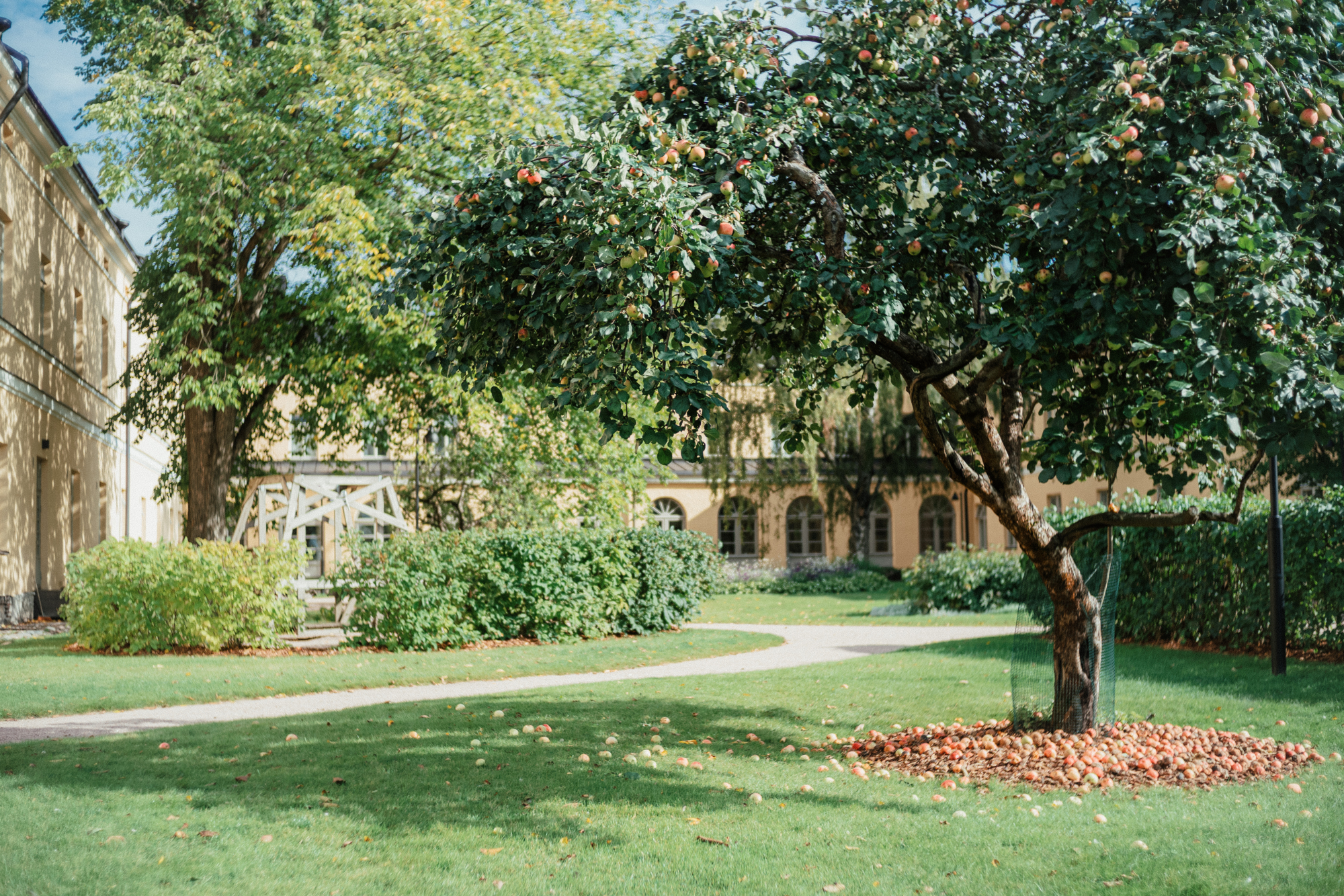 Aurinkoiset piknikpaikat Helsingissä: Lapinlahti