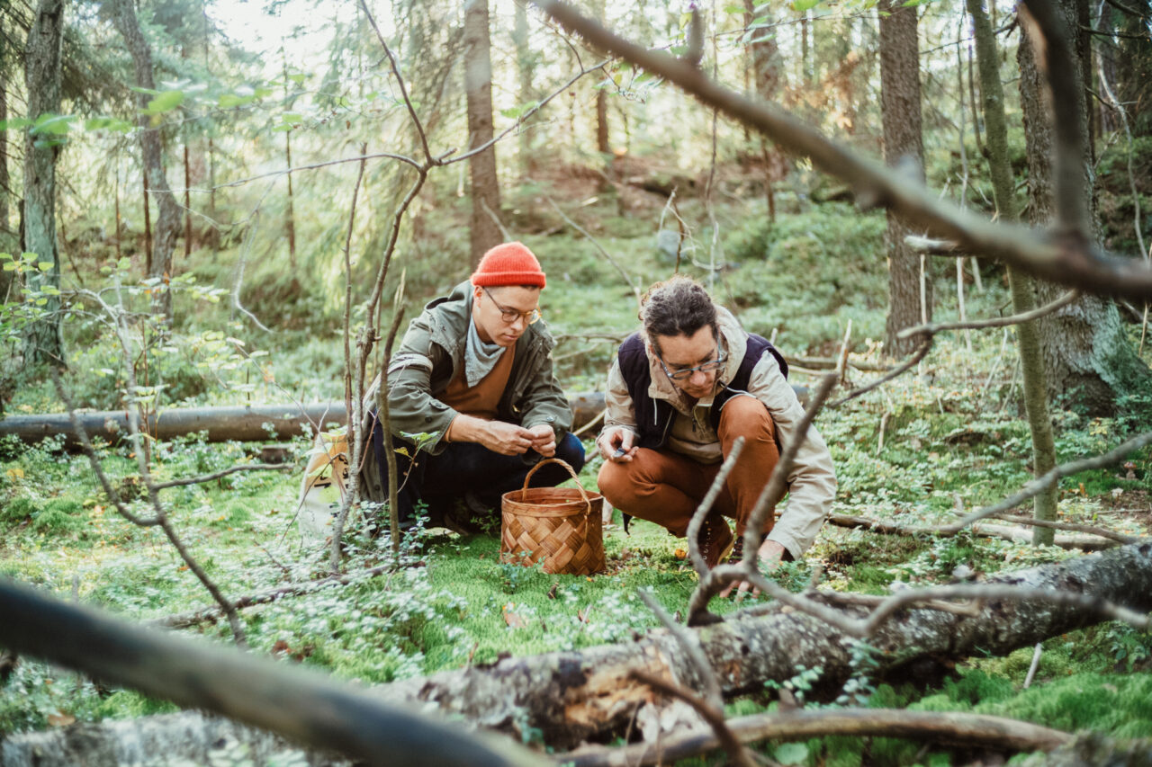 Mushroom hunting in Mustavuori forest