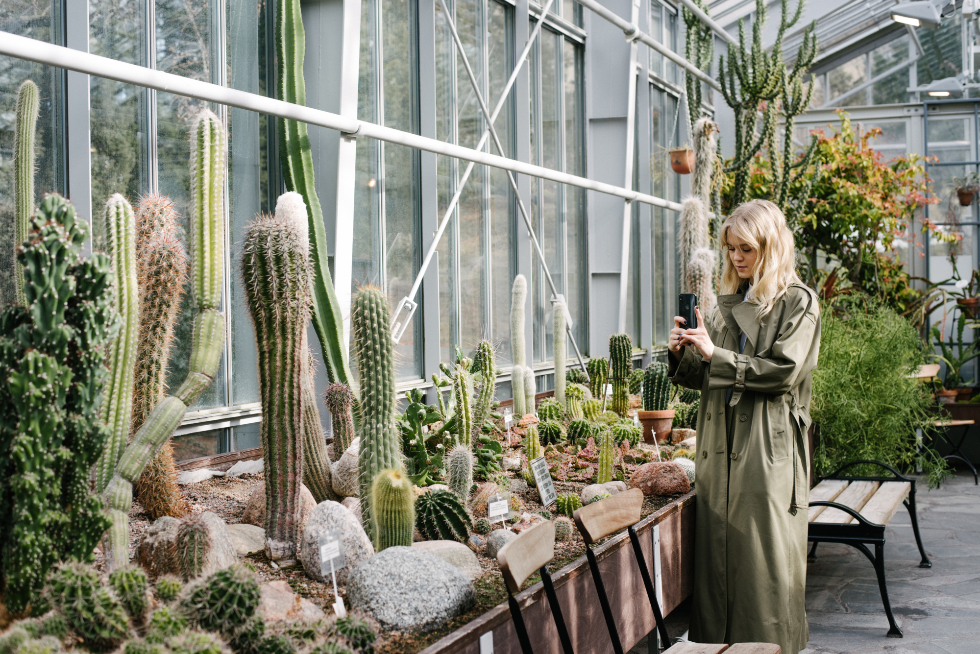 Woman photographing cacti in a greenhouse botanical garden