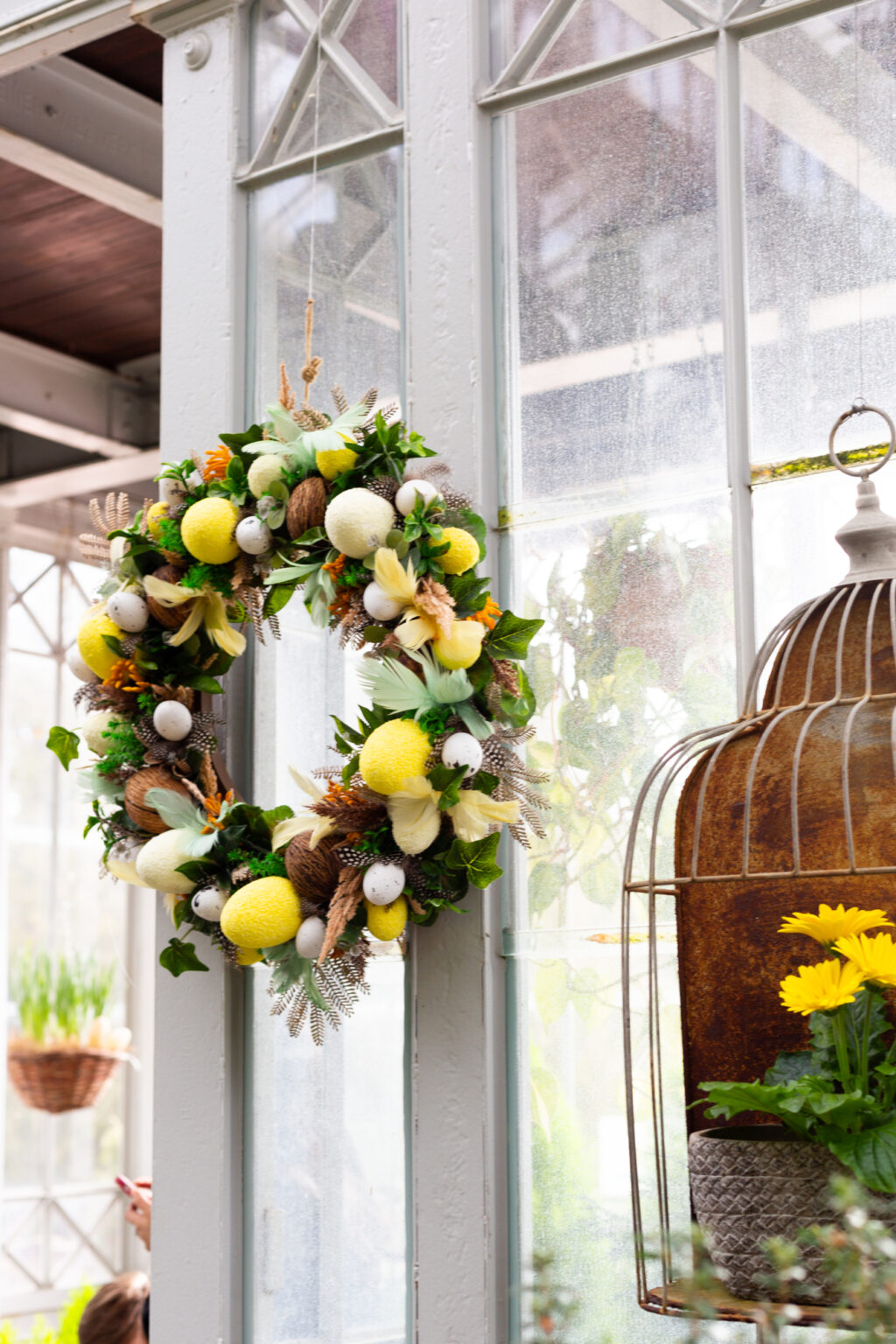 Easter wreath with eggs, lemons, and feathers hanging on a greenhouse window