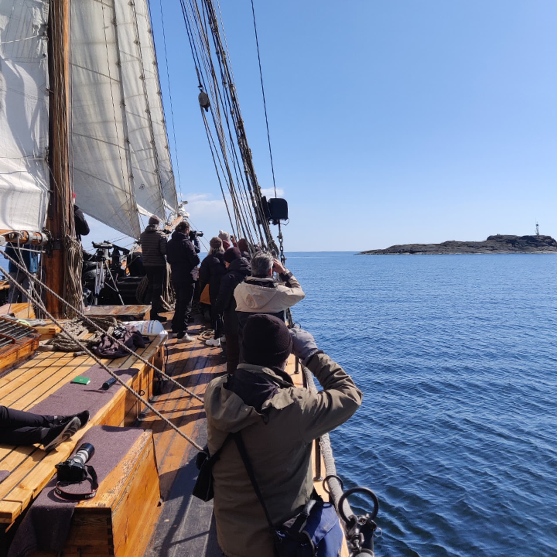 Lintujen kevätmuuttoa seuraamassa