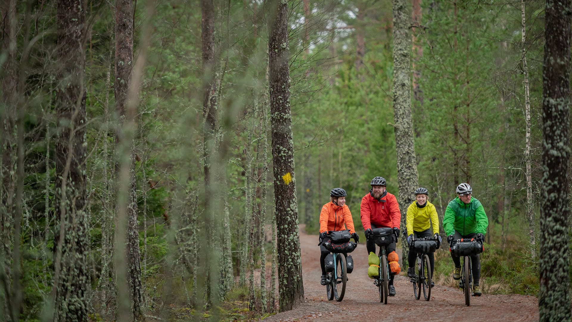 Three persons riding bicycles in the forrest