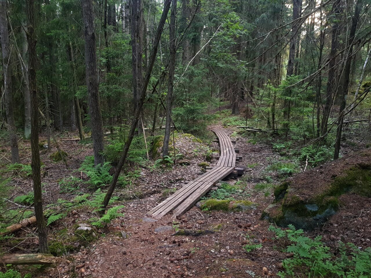 Östersund forest in Helsinki.