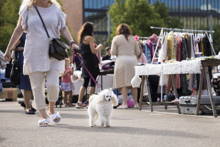 a woman walking a dog on a leash