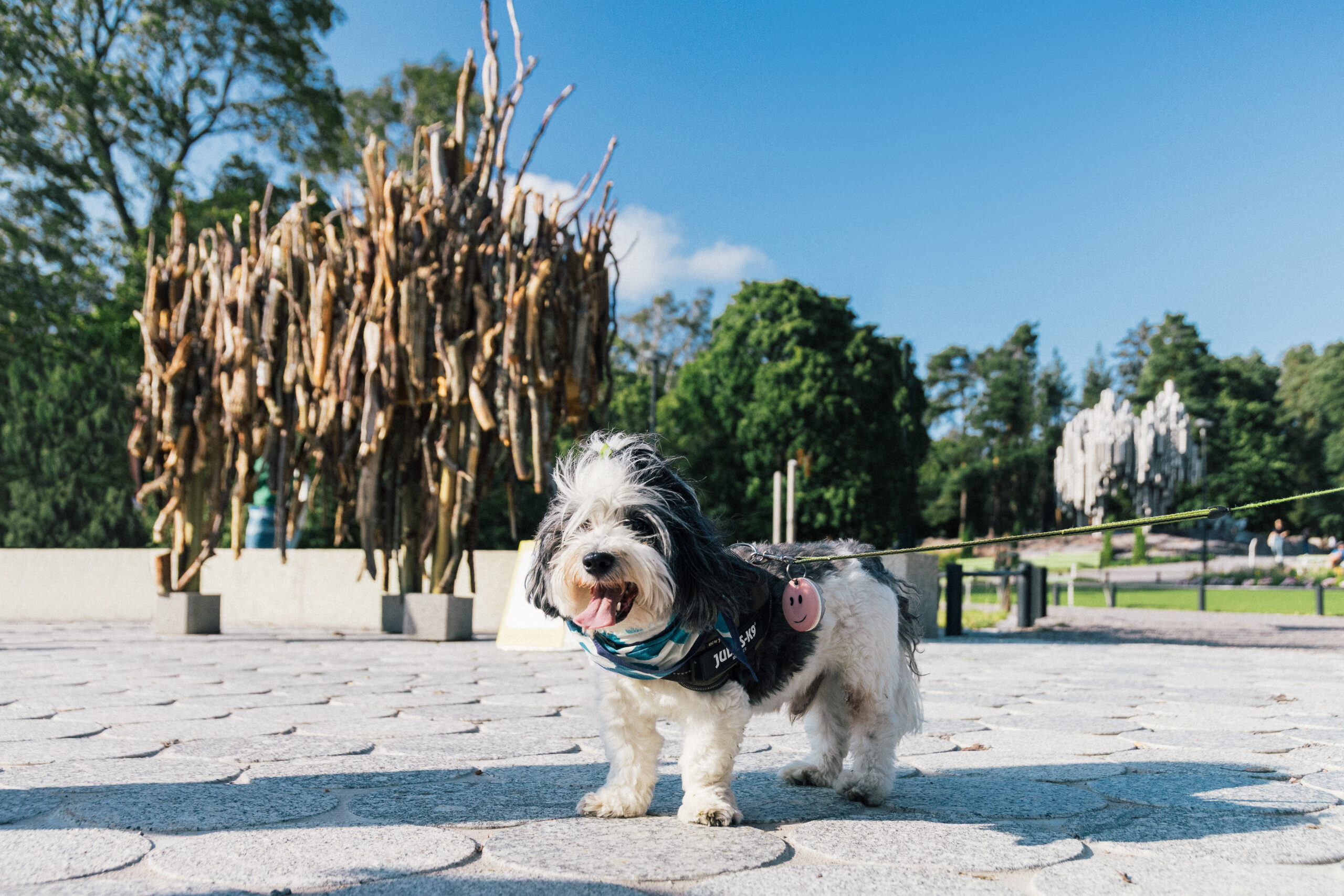 a dog on a leash in front of Stickelious a mnument for dogs