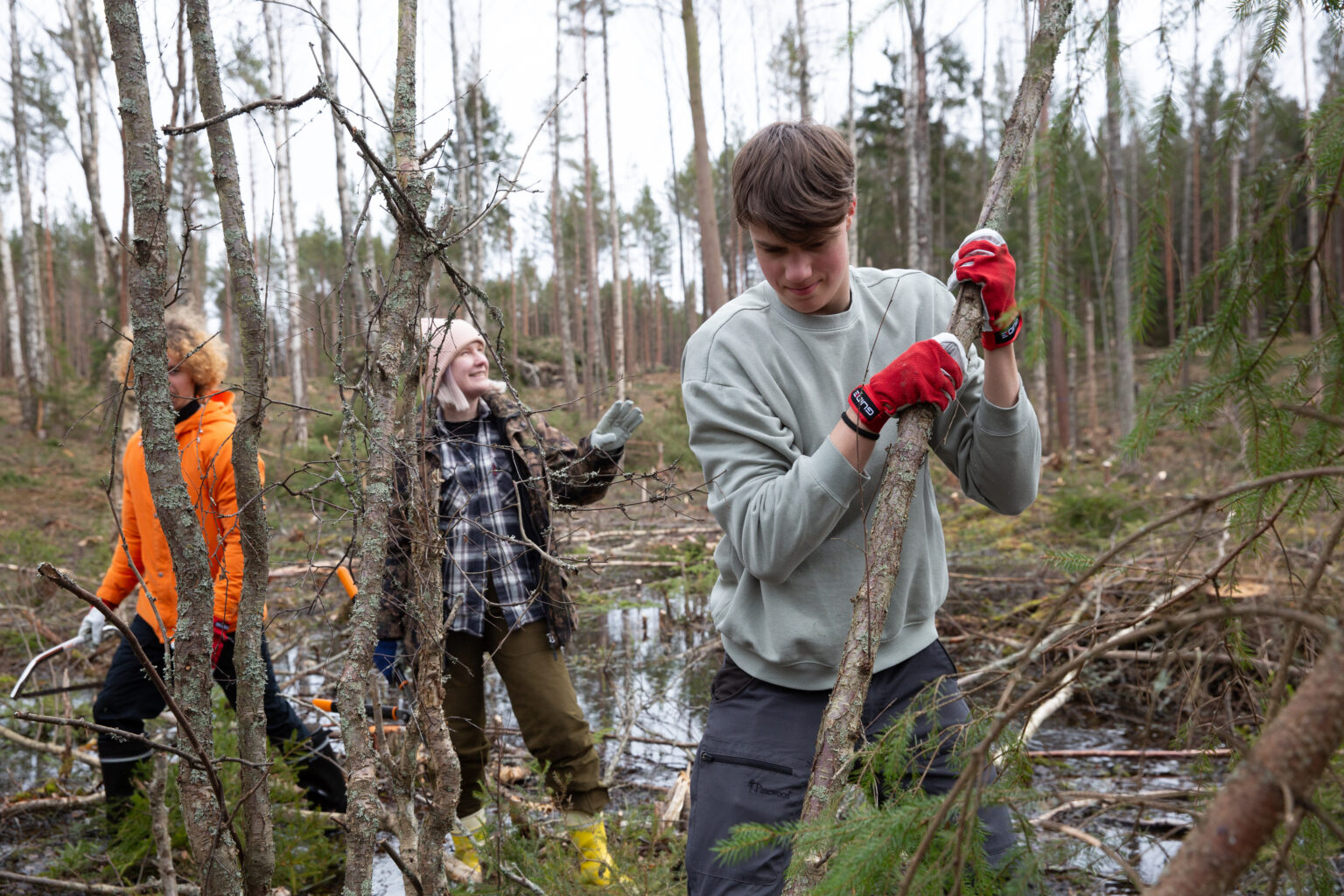 A group of volunteers restoring wetlands of Nuuksio.