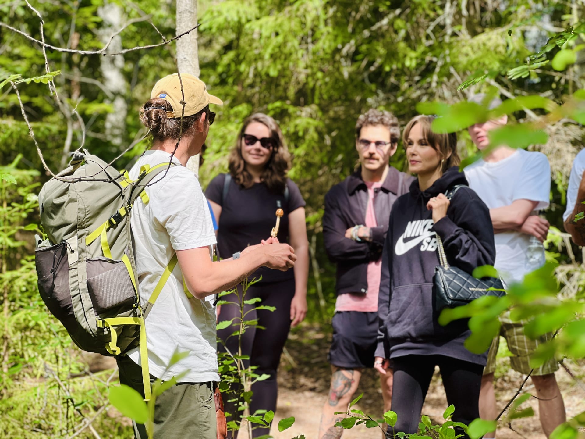 Small group in Nuuksio National Park