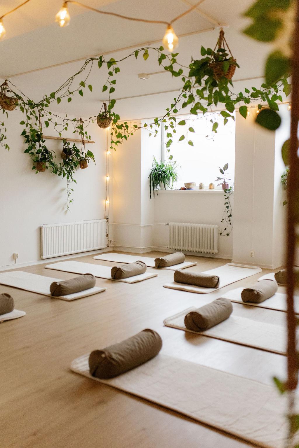 Pranama Töölö, photographed from the inside. On the floor there are yoga mats, and there are indoor plants in the ceiling.