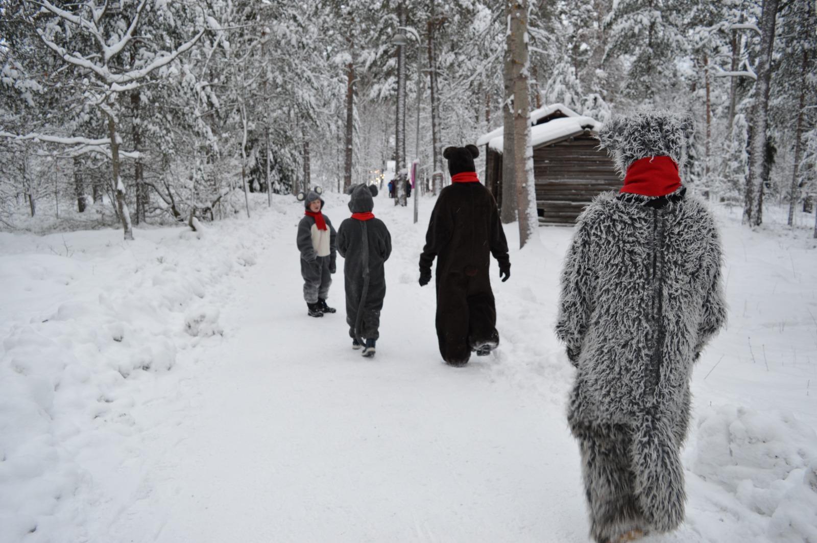 Seurasaari Christmas path in Helsinki.