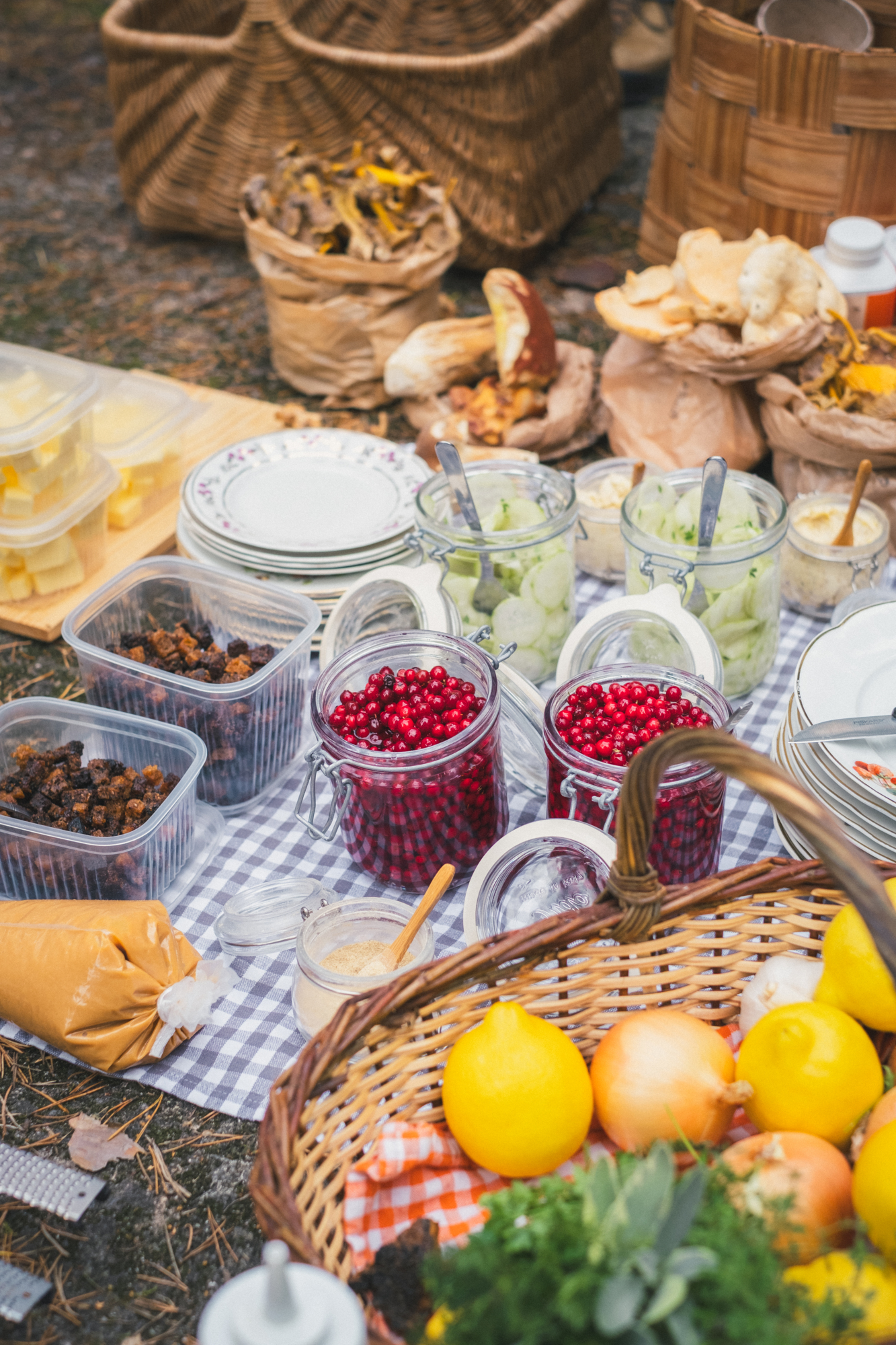 A picnic in the forest with berries, fruit, mushrooms, and dressing