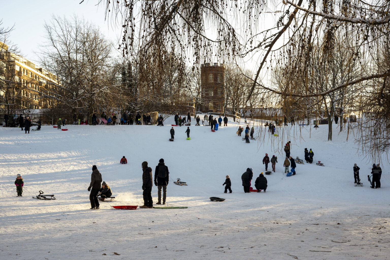 People sledding down a snowy hill in a park with trees and buildings