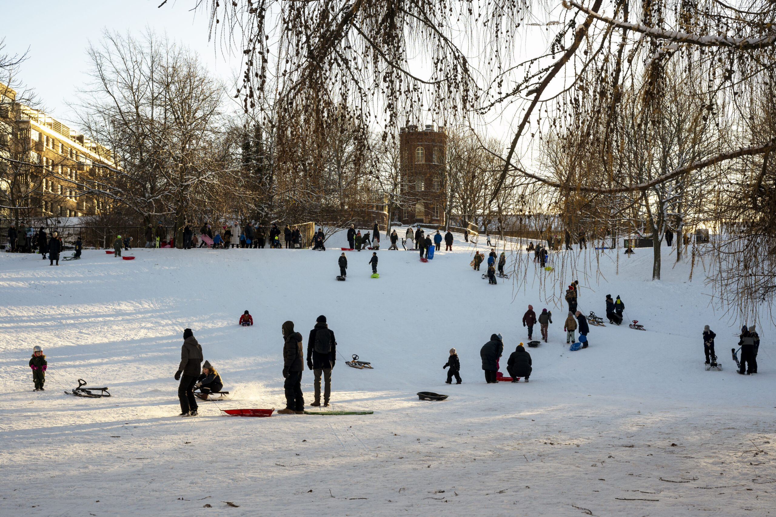People sledding in Sinebrychoff
