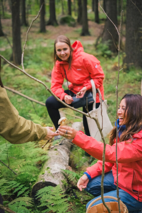Women in red jackets foraging for mushrooms in a forest.