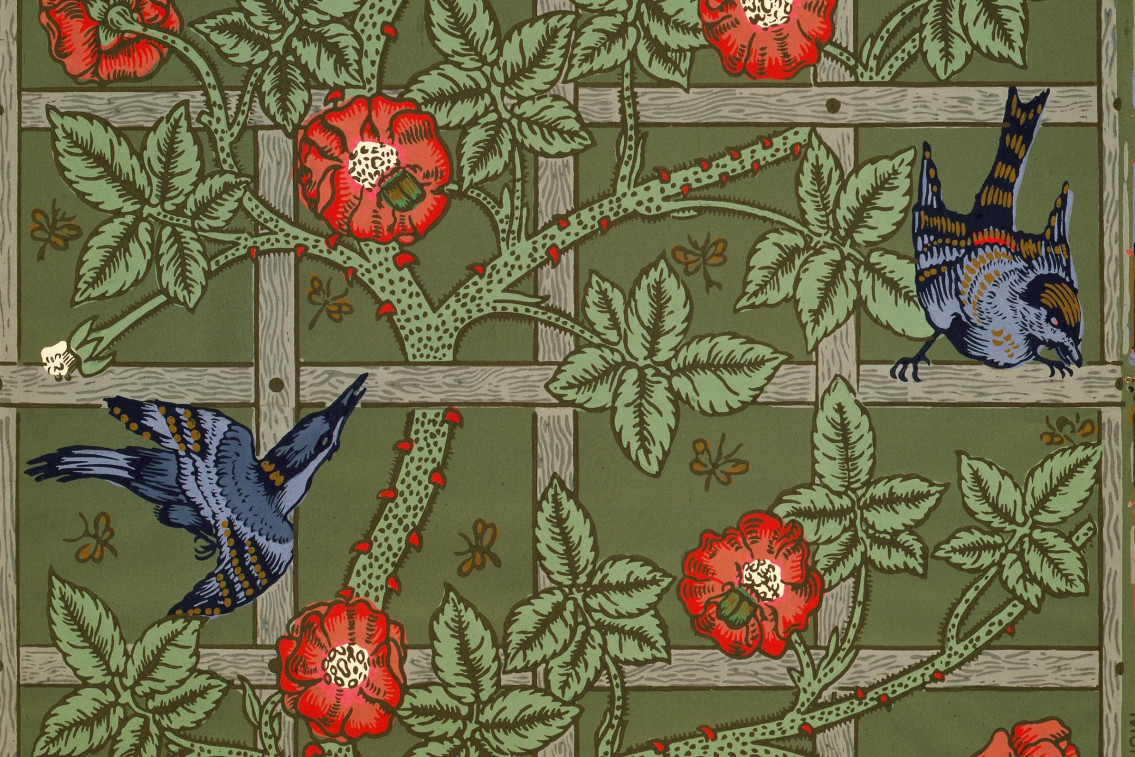 Piirrettyjä lintuja ja kukkia