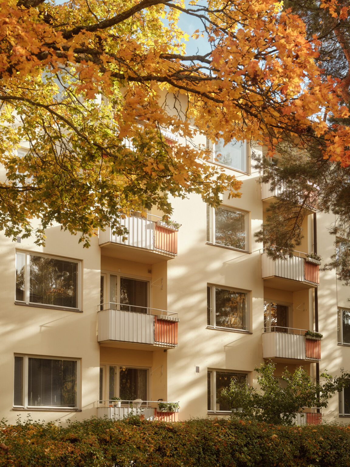 Autumn leaves by residential building in Käpylä