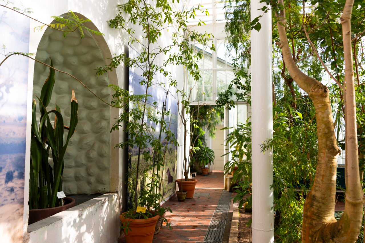 52 weeks in HEL // Week 11 - Kaisaniemi Botanic Garden (4)