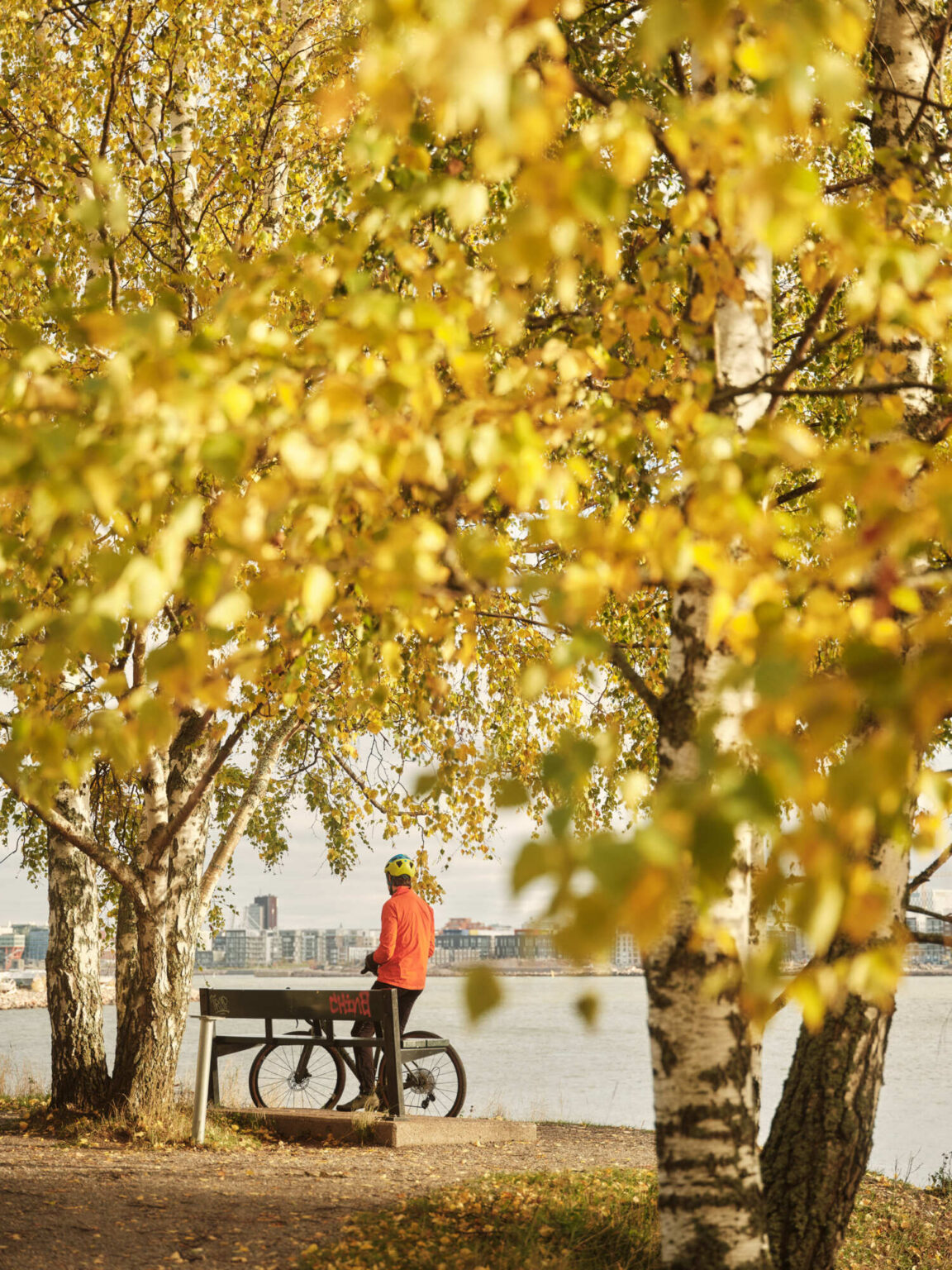 Cyclist in orange jacket by birch trees and water in autumn