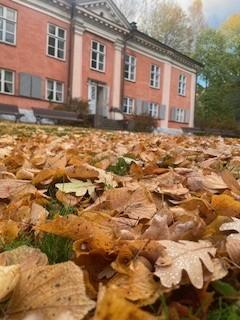 Brändö gård på hösten.