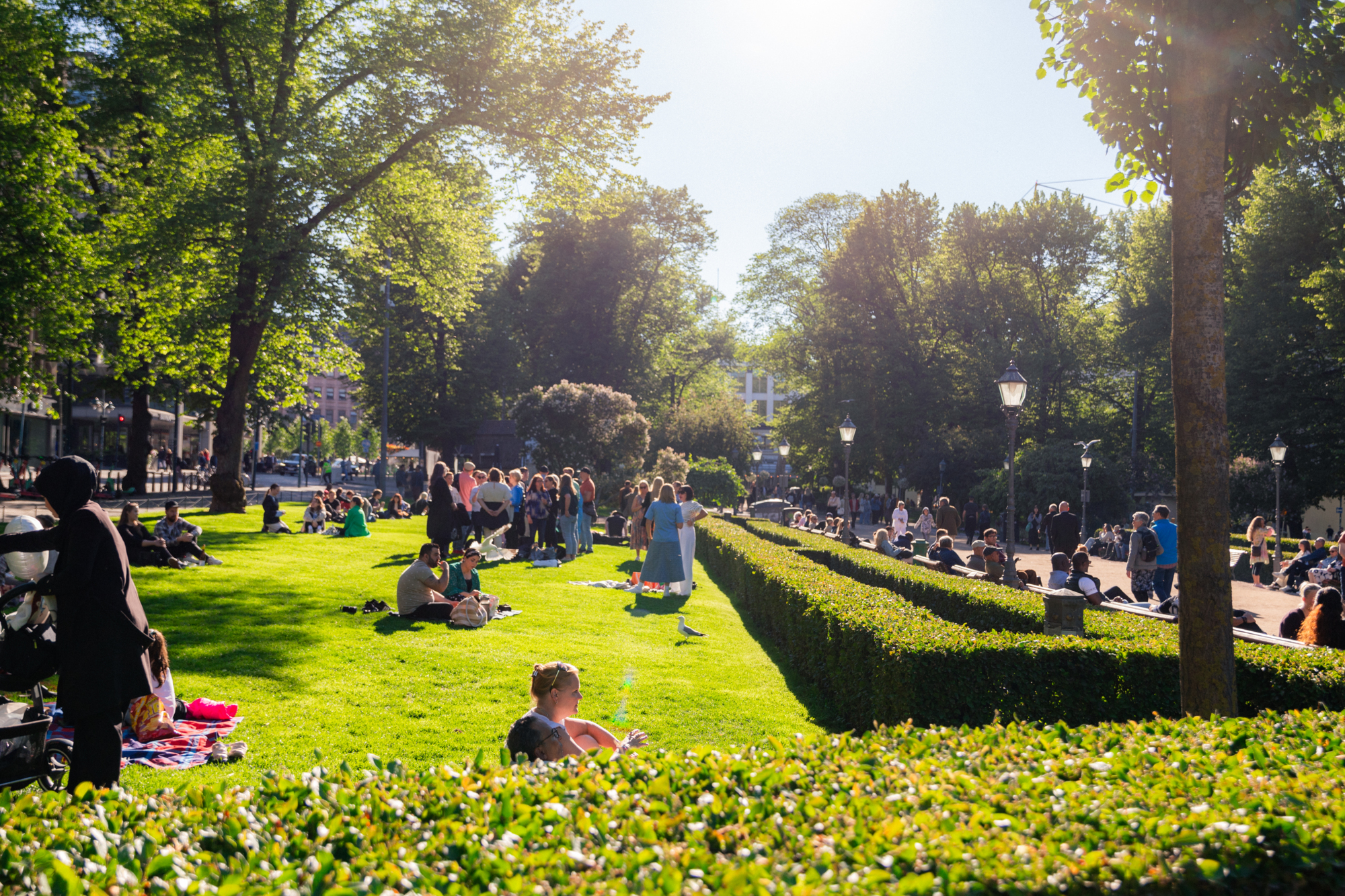 52 weeks in HEL // Week 24: Summer in the Esplanade Park