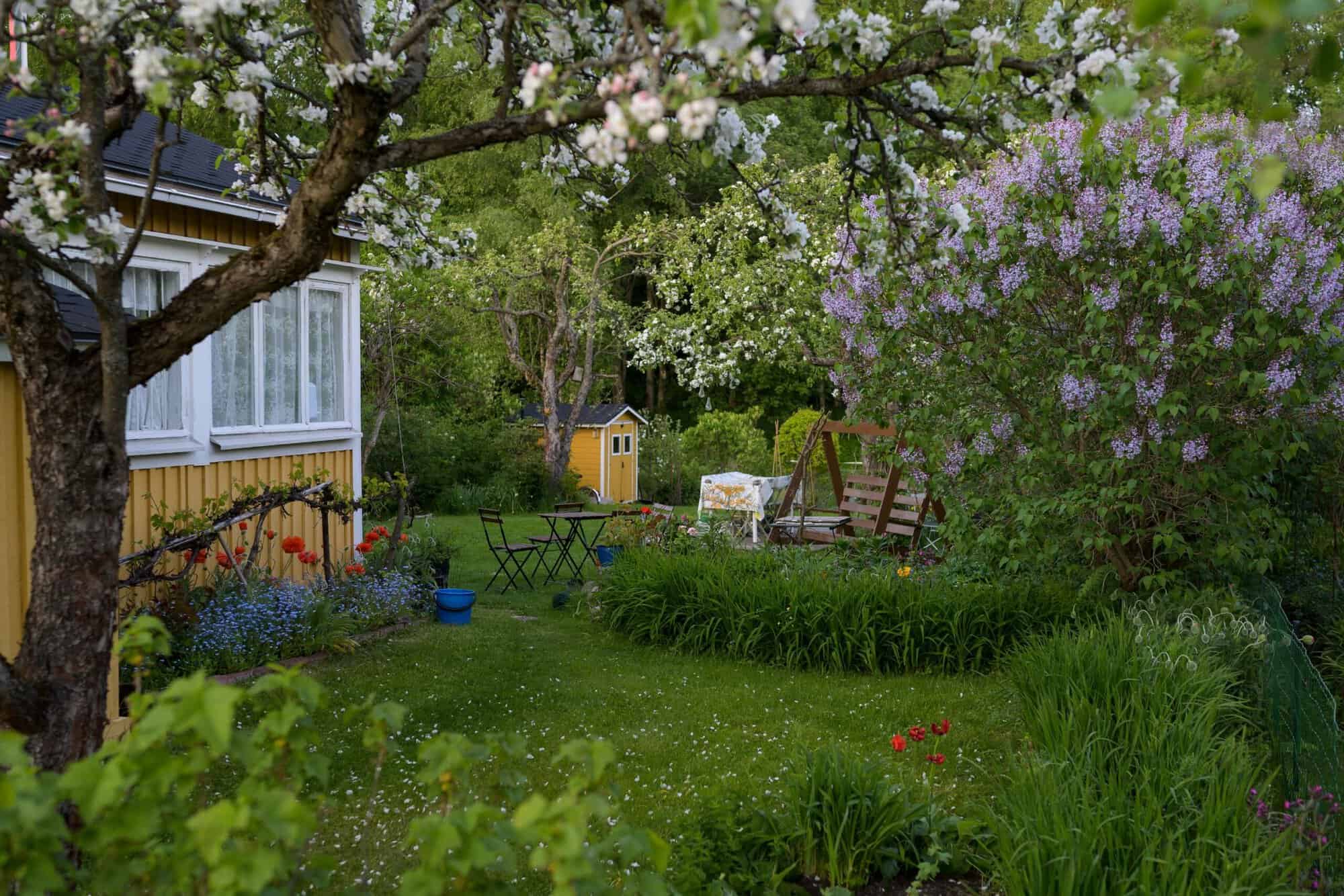 A peek to the flower garden in Herttoniemi allotment garden in Helsinki.