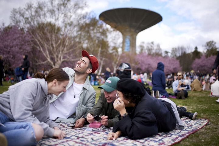 Friends picnic under cherry blossoms near a water tower