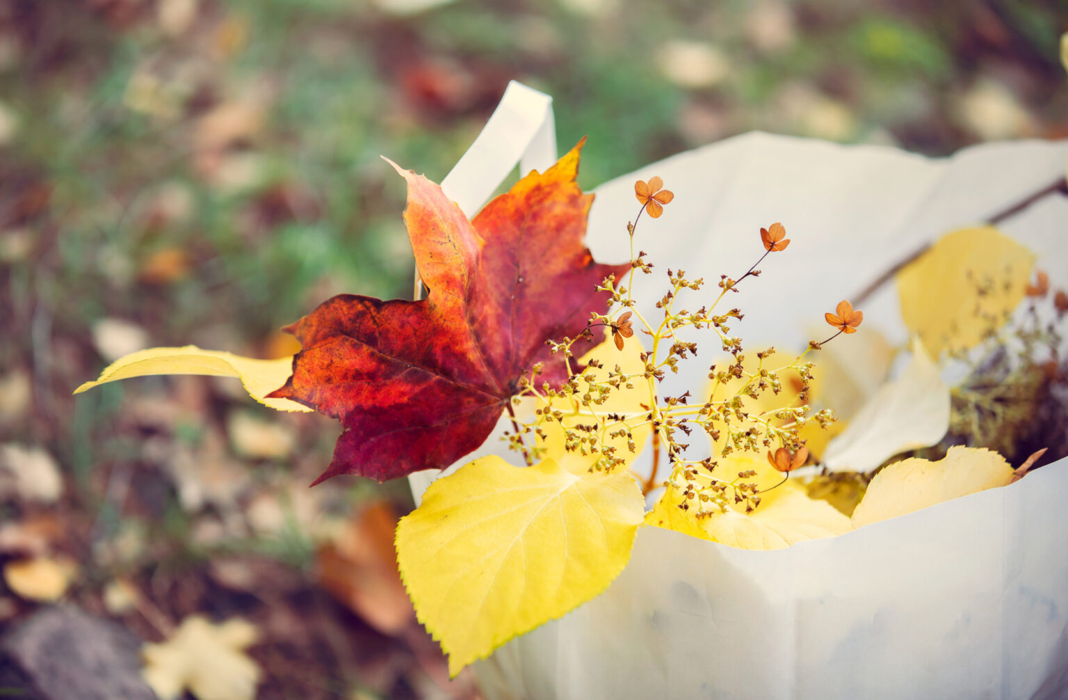 Höstlöv och torkade blommor i en vit korg, höstlövverk