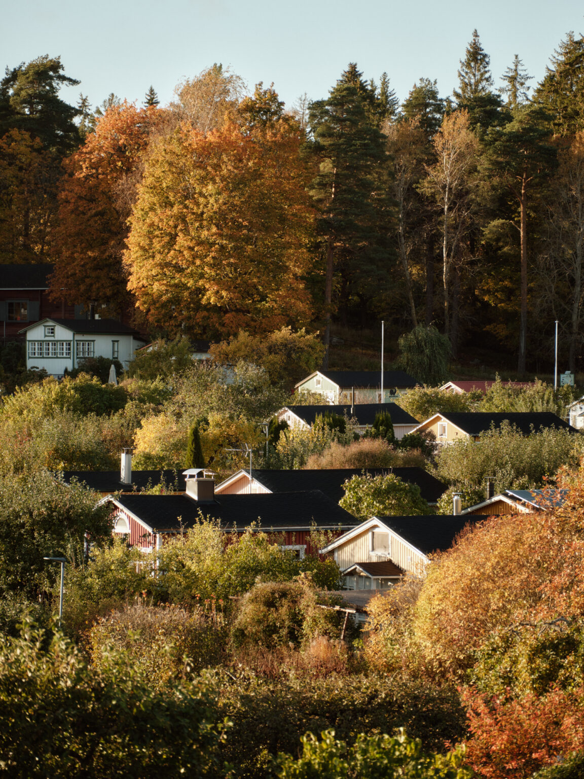 Autumn village scene with colorful trees and houses